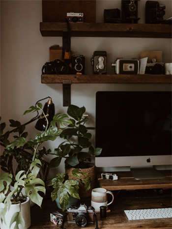 天涯社区的情感天空 第1张
